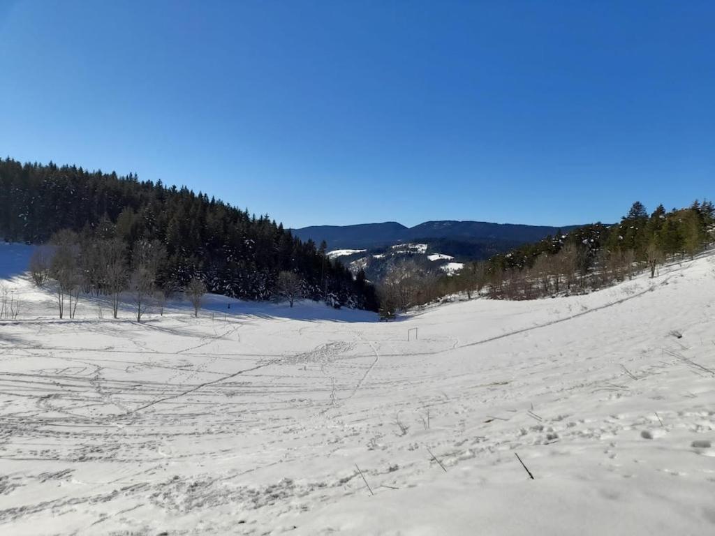 Les Glovettes Villard De Lans Exterior photo